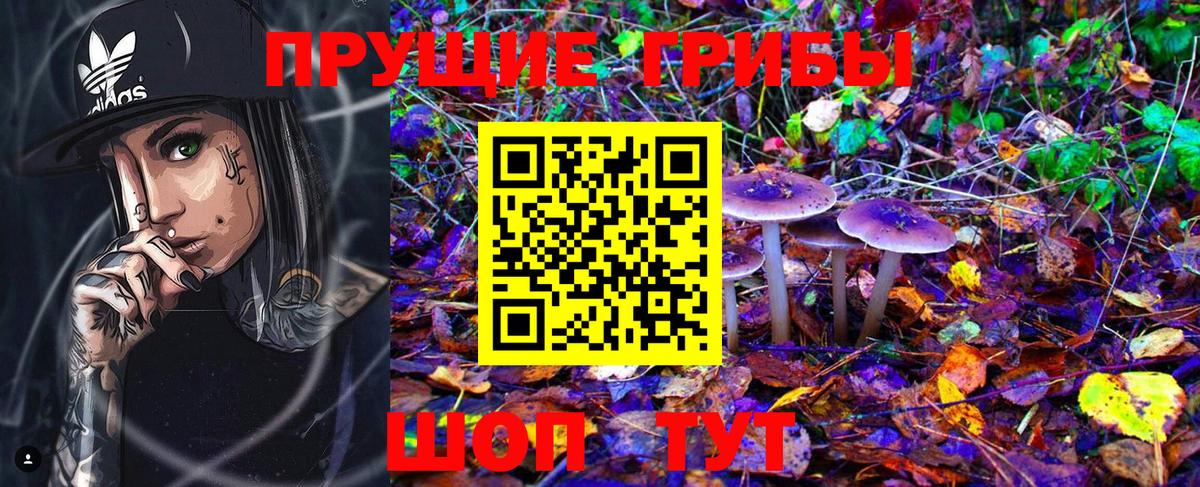 Большой Камень  Псилоцибиновые грибы Magic Shrooms  купить наркотики цена  Вход с VPN 
